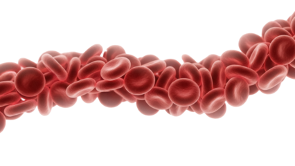 Red blood cells isolated on transparent background PNG, microscopic view of erythrocytes for medical and scientific use