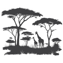 African Savanna Silhouette with Giraffes and Acacia Trees Wildlife Landscape Vector