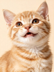 Playful ginger kitten with wide eyes in bright studio