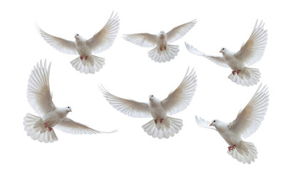 Flock of white doves flying PNG isolated on transparent background, symbol of peace and freedom for wedding and religious design