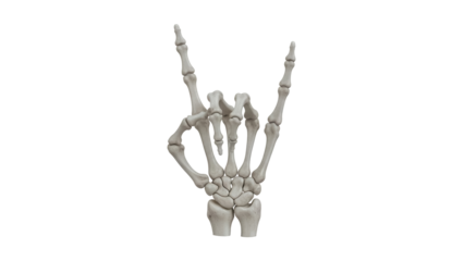 Skeleton hand making rock and roll sign PNG isolated on transparent background, bone hand gesture for music and Halloween themes