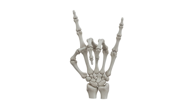 Skeleton hand making rock and roll sign PNG isolated on transparent background, bone hand gesture for music and Halloween themes