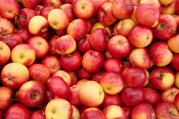 Fresh red and yellow apples piled together, showcasing vibrant colors and textures, perfect for healthy eating and seasonal recipes