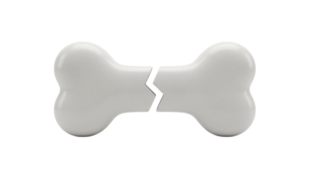 Broken dog bone isolated PNG on transparent background, pet treat in two pieces for veterinary and animal care concepts