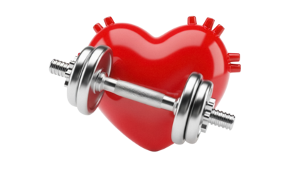 Red heart with dumbbell isolated PNG, symbol of healthy lifestyle and strong cardiovascular system, fitness and exercise concept