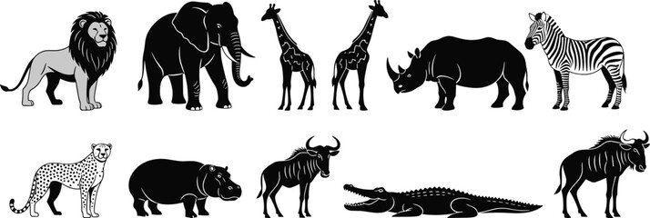Stylized African animals in grouped layout, vector illustration for wildlife education, safari theme, and editorial nature storytelling content © Sagar