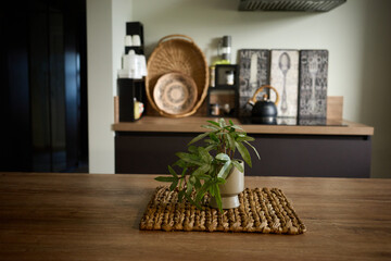 Centerpiece with a plant on a kitchen table with shelves and kitchen items behind it during daylight hours