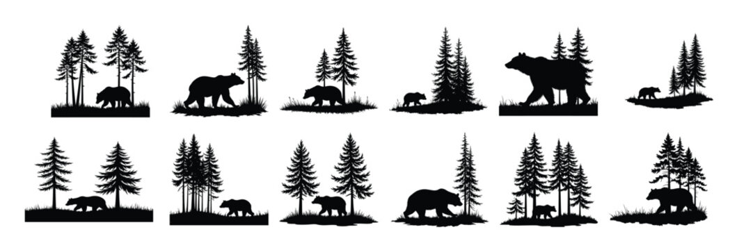 Black bear and cub silhouettes with pine trees baby bear