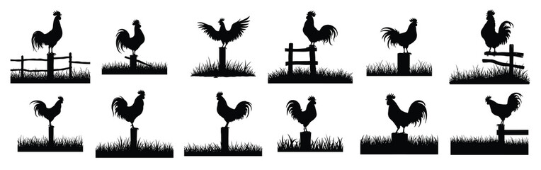 Black rooster silhouettes on fence posts and stumps with grass © Jukp
