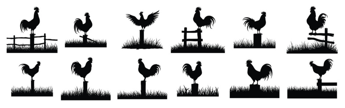 Black rooster silhouettes on fence posts and stumps with grass