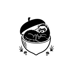 Two ferrets curled in basket cozy interaction simple shapes