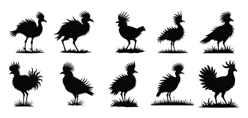 Black silhouettes of crowned birds on grass white background