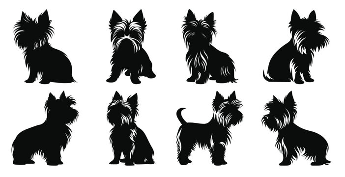 yorkshire terrier dog silhouettes vector set silhouette