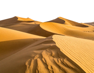 Golden sand dunes under a dark sky, showcasing textures and vastness of the desert landscape