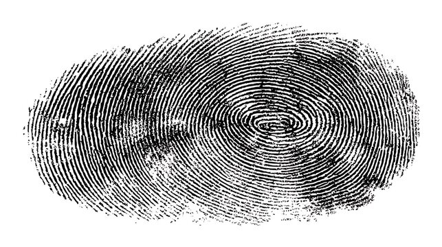 black fingerprint vector illustration isolated on the white backgraound