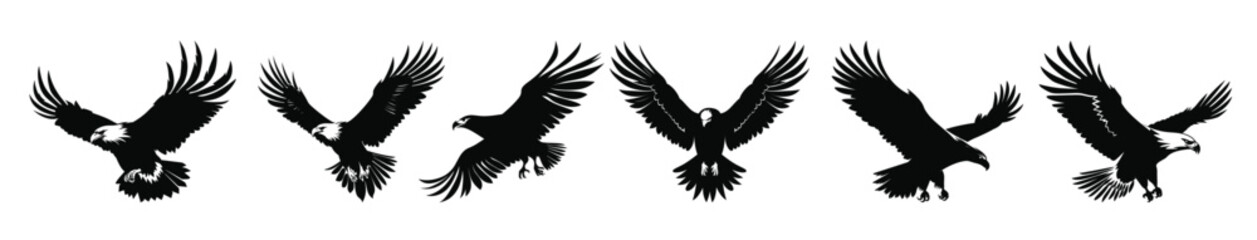 Obraz premium flying bald eagle black silhouette set bald eagle