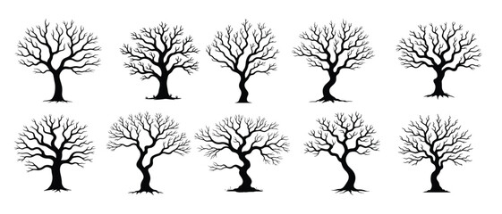 Collection of bare winter trees silhouettes branch © Jwjg