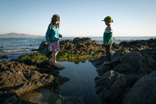 A young boy and young girl look into a tide pool on the coast