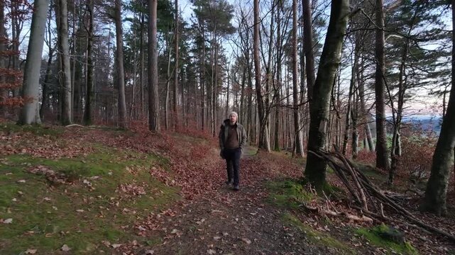 A person walks through a tranquil forest while a drone follows closely behind, capturing a smooth tracking shot from the rear. Sunlight shines through tall trees as the path winds through lush greener