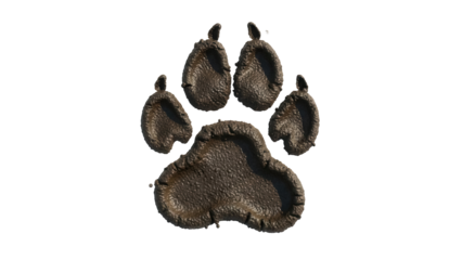 Muddy paw print isolated PNG on transparent background, animal track for nature and wildlife designs
