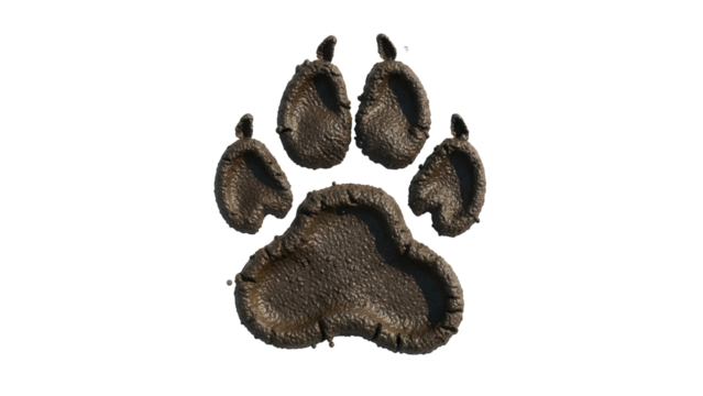 Muddy paw print isolated PNG on transparent background, animal track for nature and wildlife designs
