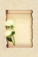 White rose flowers for old fashioned love letter on paper scroll on parchment background. Romantic faded design for invitation, wedding, valentines, birthday or anniversary.