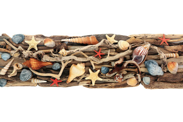 Driftwood seashell art rustic design background banner on white. Seaside shell and weathered wood natural design. Coastal decor decoration.