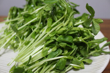 Fototapeta premium Fresh dou miao (pea shoots) purchased at a supermarket in Tokyo, Japan