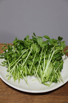 Fresh dou miao (pea shoots) purchased at a supermarket in Tokyo, Japan