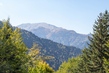 Scenic forested mountain landscape with mix of green and autumn foliage under clear sky in daylight