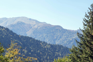 Scenic forested mountain landscape with mix of green and autumn foliage under clear sky in daylight