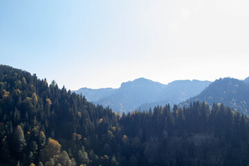 Scenic forested mountain landscape with mix of green and autumn foliage under clear sky in daylight