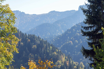 Scenic forested mountain landscape with mix of green and autumn foliage under clear sky in daylight
