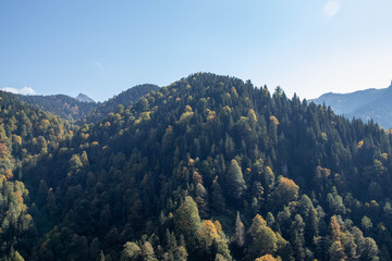 Forested mountain landscape with autumn foliage, clear blue sky and distant peak in bright daylight