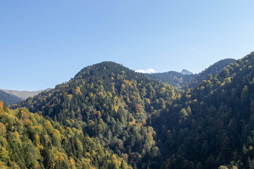 Forested mountain landscape with autumn foliage, clear blue sky and distant peak in bright daylight