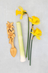 Welsh national symbols of daffodil love spoon, flowers and leek on mottled gray background. Traditional Celtic Cymru emblems for St Davids Day. 