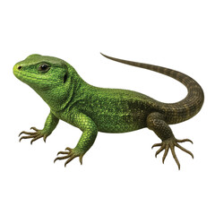 A realistic reptile animal