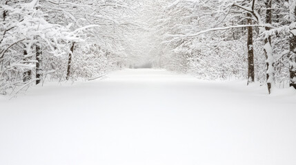 Snow covered forest path under soft snowfall, serene winter landscape with frosted trees