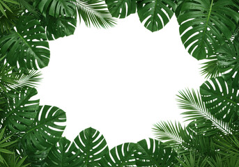 hyper-detailed, wet monstera deliciosa and textured palm fronds framing a transparent background with vast copy space. high-key, lush emerald green studio shot, concept for high-end tropical luxury