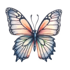Hand drawn watercolor butterfly
