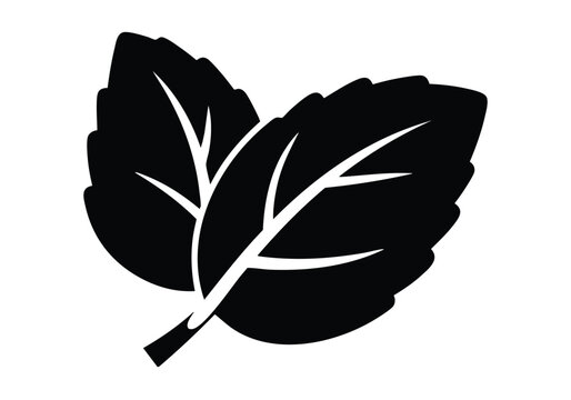 Elegant black and white basil leaf design element for food blogs, culinary websites, and organic product packaging projects, adding a fresh, natural touch