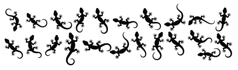 black gecko silhouettes scattered across a white background
