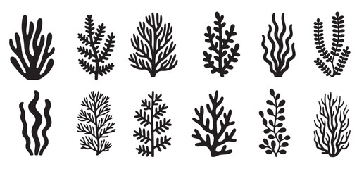 black silhouette botanical illustrations of various sea 