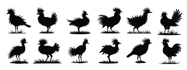 Black silhouettes of various birds on grass white background