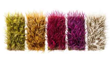 Five vertical strands of colorful fluffy material isolated on transparent background