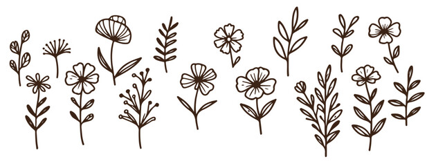 vintage flower illustrations 