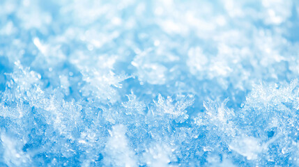 A close-up view of delicate snowflakes on a soft blue background, showcasing their intricate patterns and crystalline structures.
