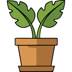 Obraz premium Green Leaf Plant in Terracotta Pot with Shadow Effect on Black Background