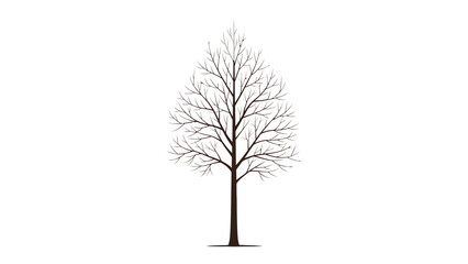 Deciduous tree silhouette with bare branches one branch section highlighted gray