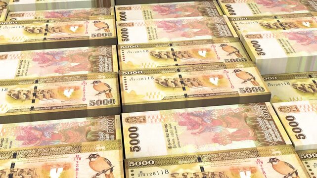 Sri Lanka 5000 Rupee Banknote Horizontal 3D Animation ? Realistic Money Flow, Finance, Economy, Banking, Business Investment, and Currency Exchange Visualization